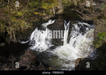 L'Afon Llugwy à Pont Cyfyng près de Capel Curig, au nord du Pays de Galles, Royaume-Uni. Banque D'Images