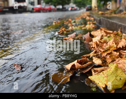 Turnpike Lane, Londres, Royaume-Uni. 27 juillet 2018. Météo France : la pluie et thundersorms au nord de Londres après la canicule. Crédit : Matthieu Chattle/Alamy Live News Banque D'Images