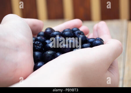 Handsl avec plein de petits fruits congelés aronia table rustique en bois avec verre de jus d'aronie Banque D'Images