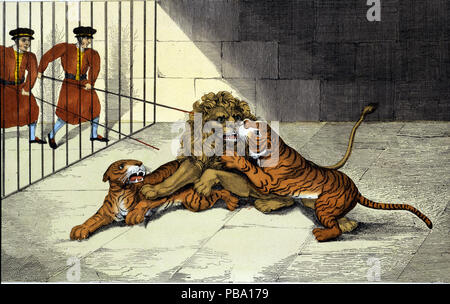 Imprimer intitulé 'le terrible combat entre le Lion, le Tigre et la tigresse dans la Tour de Londres le vendredi 3 décembre 1830', britannique milieu du XIXe siècle Banque D'Images