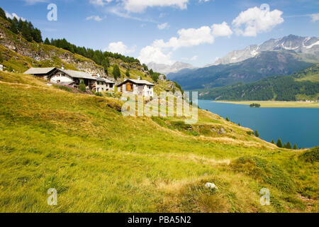 Balade autour du Lac de Sils sur la vallée de l'Engadine (Suisse - Europe) Banque D'Images