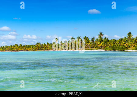 Historique Photo de la côte de la mer des Caraïbes avec des palmiers qui poussent sur la plage de l'île de Saona. République Dominicaine Banque D'Images