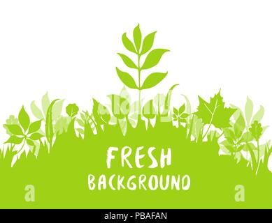 Frais et vert fond vecteur. Printemps ou été. Vector illustration. Chêne, tilleul, hêtre, châtaignier, saule, aulne, frêne et d'érable. Illustration de Vecteur