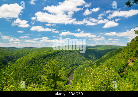 Gorge de Pine Creek, aussi appelé le Grand Canyon du Colorado. A 47 km de long, 1000 pieds de profondeur gorge qui serpente à travers le centre-nord de la Pennsylvanie. Banque D'Images