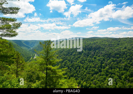 Gorge de Pine Creek, aussi appelé le Grand Canyon du Colorado. A 47 km de long, 1000 pieds de profondeur gorge qui serpente à travers le centre-nord de la Pennsylvanie. Banque D'Images