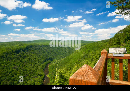 Gorge de Pine Creek, aussi appelé le Grand Canyon du Colorado. A 47 km de long, 1000 pieds de profondeur gorge qui serpente à travers le centre-nord de la Pennsylvanie. Banque D'Images