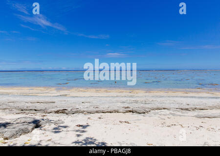 Soleil de midi sur la côte de corail des Îles Fidji Banque D'Images