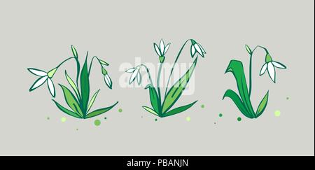 Vector set of cute printemps frais fleurs snowdrop Illustration de Vecteur