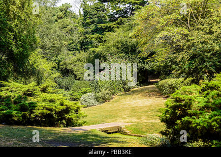 Churchill Gardens à Southend on Sea, Essex, Royaume-Uni. Paisible et isolé les jardins ornementaux avec ruisseau et cascade. Paysage par Ian Walker Banque D'Images