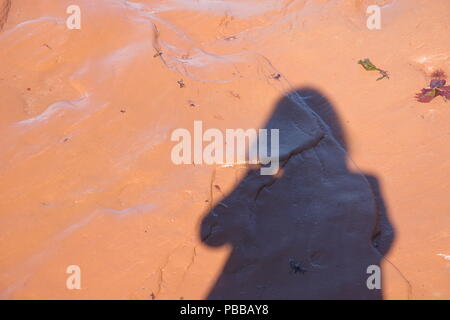 L'ombre d'une figure féminine solitaire faites sur une plage de sable dans le soleil de fin d'après-midi ; l'Île du Prince Édouard, l'Î. Banque D'Images