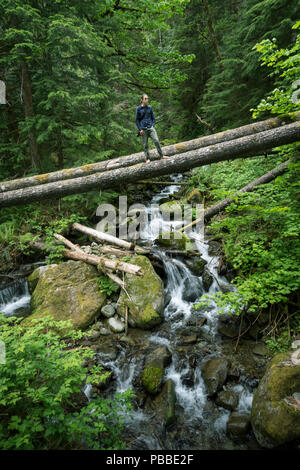 Homme marchant sur cascades le log à Washington Banque D'Images