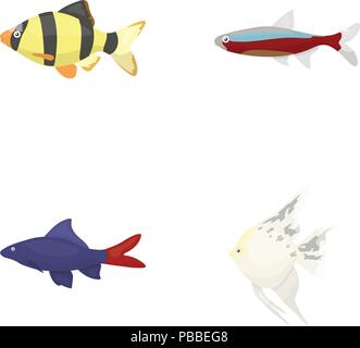 Poissons-Anges, commun, barbus, néon.Fish set collection icônes de style cartoon vector illustration stock symbol . Illustration de Vecteur
