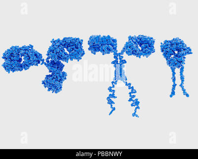 Anticorps, voiture et structures de TCR, illustration. À gauche est l'anticorps de l'immunoglobuline G (IgG). Cette protéine en forme de Y est produit par B-lymphocyte globules blancs du sang dans le cadre d'une réponse immunitaire à combattre les infections. Au centre est un récepteur de l'antigène chimérique (voiture), un récepteur cellulaire qui permet aux cellules T à reconnaître et attaquer les cellules cancéreuses d'une manière spécifique. À droite, un récepteur des lymphocytes T (TCR, semblable à un bras d'un anticorps) active la réponse immunitaire aux antigènes dans les cellules T (une forme de lymphocyte). Banque D'Images