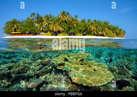 Les récifs coralliens de l'île à l'Angsana Ihuru island (ancien nom), split, image North-Male Atoll, Maldives Banque D'Images