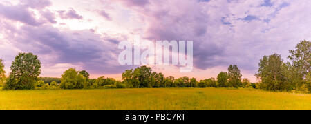 Paysage du lever du soleil sur la montagne. Nuages ciel coloré et spectaculaire au-dessus des arbres verts et des fleurs des prés d'été Banque D'Images