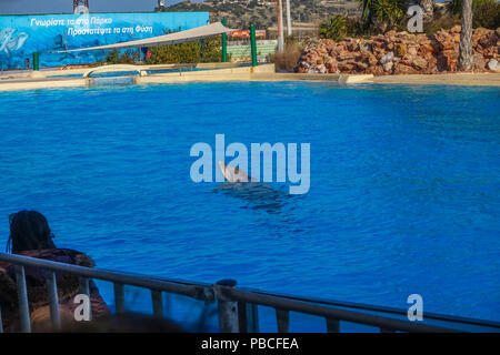 Spectacle de Dauphins au Zoo de l'Attique, Athènes, Grèce Banque D'Images