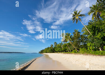 Plage de sable blanc sur Espiritu Santo, Vanuatu Banque D'Images