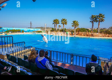 Spectacle de Dauphins au Zoo de l'Attique, Athènes, Grèce Banque D'Images