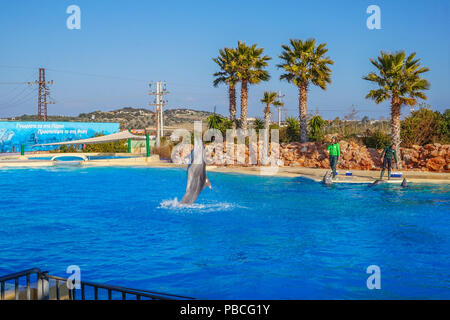 Spectacle de Dauphins au Zoo de l'Attique, Athènes, Grèce Banque D'Images