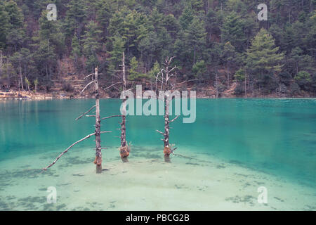 Blue Moon Valley de Lijiang, Yunnan, Chine Banque D'Images