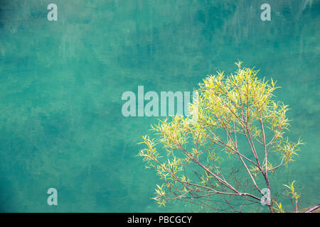 Blue Moon Valley de Lijiang, Yunnan, Chine Banque D'Images