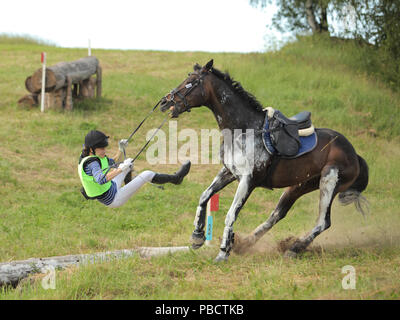 Jeune tombant de cheval pendant un concours Banque D'Images