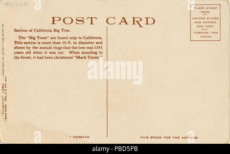 La Section 1304 de Californie big tree, l'American Museum of Natural History, New York (NPAR) 24464 Banque D'Images