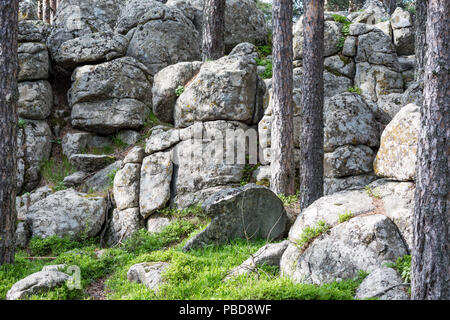 Fairy-tail de roche de granite à l'intérieur formations pinède dans la région en Atoluka Rhodopes, Bulgarie, près de la ville de Bratzigovo Banque D'Images