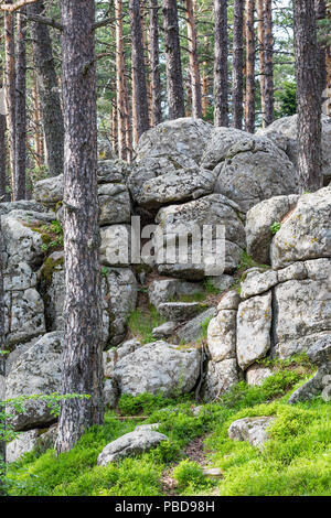 Fairy-tail de roche de granite à l'intérieur formations pinède dans la région en Atoluka Rhodopes, Bulgarie, près de la ville de Bratzigovo Banque D'Images