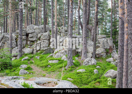 Fairy-tail de roche de granite à l'intérieur formations pinède dans la région en Atoluka Rhodopes, Bulgarie, près de la ville de Bratzigovo Banque D'Images