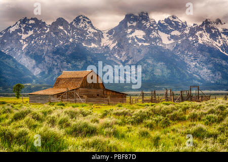 John historique Moulton Barn le long de Mormon Row dans le Parc National de Grand Teton, Wyoming Banque D'Images