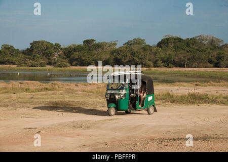 Taxi tuk tuk chargés avec des planches de surf pour les transports à jungle beach ferme d'arachide, Sri Lanka Banque D'Images