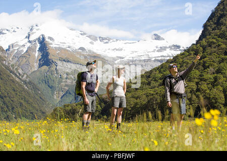 La Nouvelle-Zélande Aotearoa aka, île du Sud, Mt aspirant National Park, Sibérie, groupe randonnées en montagne avec le jaune de la vallée des fleurs. Parution du modèle Banque D'Images