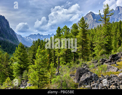 La montagne sur la taïga sibérienne nuageux jour d'été. Tunkinsky Parc National. La Russie Banque D'Images