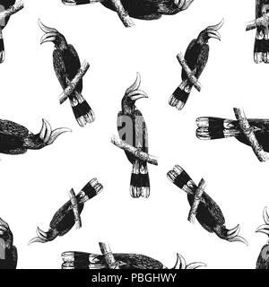 Motif de la main transparente style croquis calaos rhinocéros isolé sur fond blanc. Vector illustration. Illustration de Vecteur