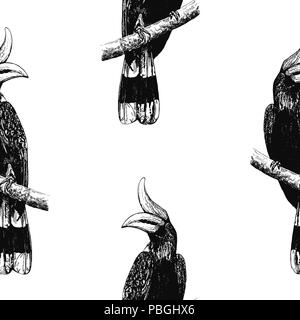 Motif de la main transparente style croquis calaos rhinocéros isolé sur fond blanc. Vector illustration. Illustration de Vecteur