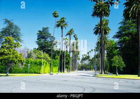 La rue bordée de palmiers de beverly hills, en Californie, lors d'une journée ensoleillée. Banque D'Images