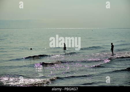 Chicago, Illinois, USA. Un couple Wade dans les vagues que leur chien prend un début de journée de baignade à Hollywood Beach, également connu sous le nom de Kathy Osterman Beach. Banque D'Images