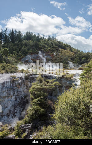 Superbe paysage de forêt avec l'activité thermique de la vapeur à l'Orakei Korako zone géothermique de Rotorua, Nouvelle-Zélande Banque D'Images