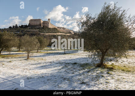 Sur assise ville (Ombrie) en hiver, avec un champ d'oliviers couverts par la Neige et ciel bleu avec des nuages blancs Banque D'Images