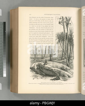 1633 L'armée déchue statue de Ramsès II à Memphis. La boue molle dans laquelle il s'inscrit parfaitement conservé a bien coupé les fonctionnalités et tous les la partie avant de la figure. Pendant environ 8 mois (NYPL b10607452-80825) Banque D'Images