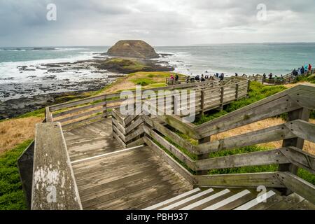 Les touristes à l'nobbies centre sur l'île Phillip à l'été Banque D'Images