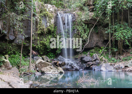 MOUNT TAMBORINE AUSTRALIE - Le 11 juillet 2018 ; cascade dans la forêt tropicale du mont Tamborine sur Gold Coast, Queensland, Australie Banque D'Images