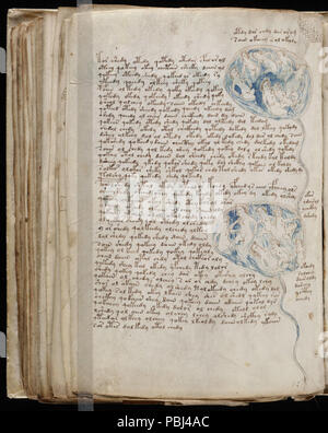 1824 manuscrit de Voynich (154) Banque D'Images