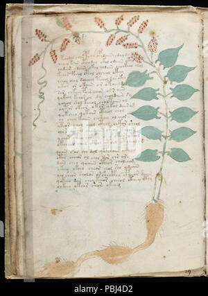 1824 manuscrit de Voynich (34) Banque D'Images