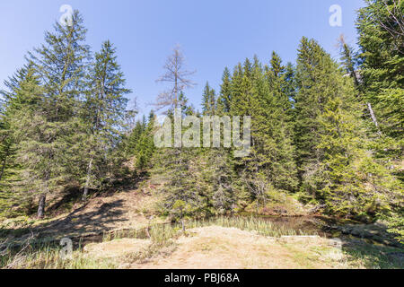 Belle petite rivière près de l'Oeschinensee à Kandersteg, Suisse Banque D'Images