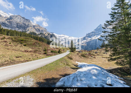 Panorama sur les Alpes enneigées sur un chemin de randonnée près de Kandersteg, Suisse Banque D'Images