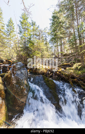 Belle petite rivière près de l'Oeschinensee à Kandersteg, Suisse Banque D'Images