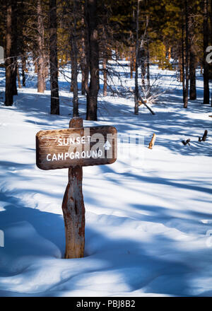 Bryce Canyon Winter Wonderland Banque D'Images