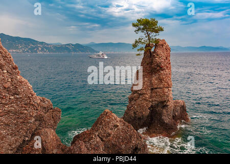 Seaview de Portofino, Riviera Italienne, la Ligurie Banque D'Images